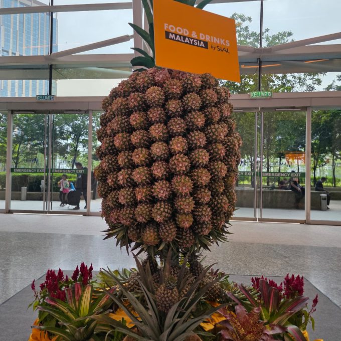 WhatsApp Image 2025-07-29 at 18.33.15